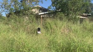 Mathis code enforcement's cleanup effort