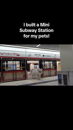 ペットのためのミニ地下鉄駅を作りました！