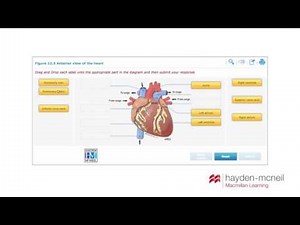 Hayden McNeil Anatomy and Physiology Content Collection