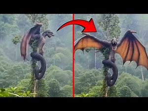 Mythical Creatures Caught On Camera! No One Believed They Existed Until They Were Filmed