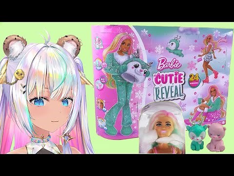 What's In The Barbie Christmas Winter Snow Holiday Advent