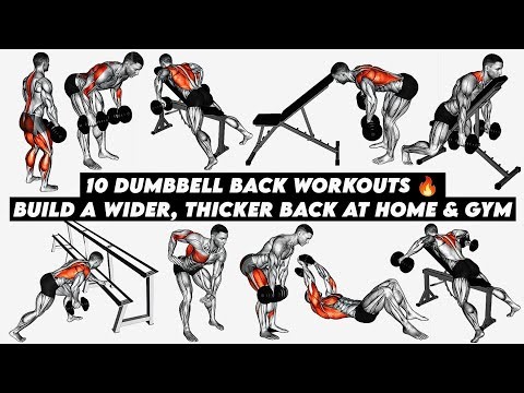 10 DUMBBELL BACK WORKOUTS 🔥 | BUILD A WIDER, THICKER BACK AT HOME & GYM