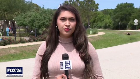 Over 120 feral hogs destroying Katy neighborhoods