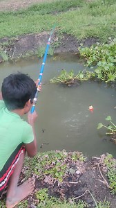 395K views · 2.4K reactions | Very amazing fish hunting | Manirul | Facebook