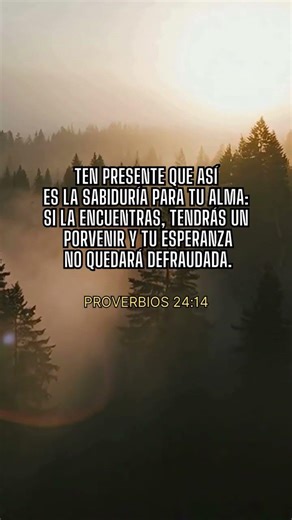 Ten presente que así es la sabiduría para tu alma. Proverbios 24:14 #biblia #proverbios #dios