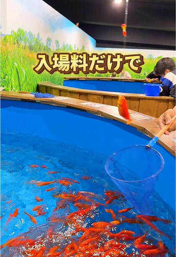 親子で楽しむ屋内釣りスポット