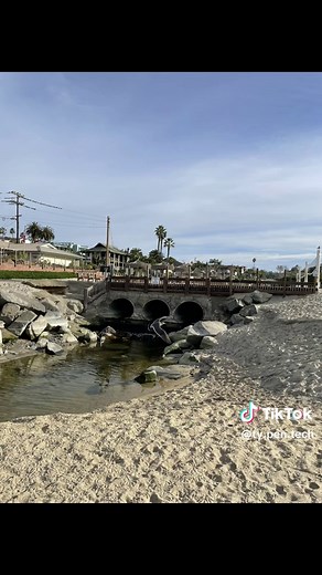 iPhone 12 vs Galaxy S20 : A Camera Comparison