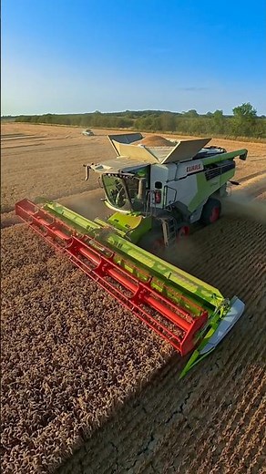 CLAAS 8800 lexion combine harvester working in a field of wheat