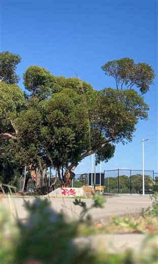 INMOTION v14 go vrooom through s-bend