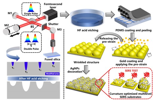 Curvature-Optimized Multilevel SERS Substrates Formed by Femtosecond Laser Shaping Based on Electrons Dynamics Control | Newswise