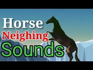 HORSE NEIGHING SOUNDS EFFECT !! No Copyright .