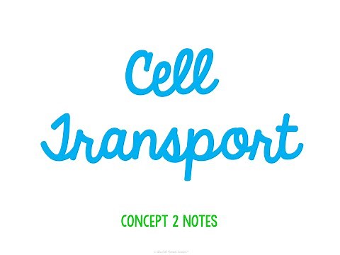 Unit 2 Cells Concept 2 Notes *UPDATED*