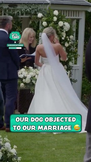 Our dog objected to our marriage