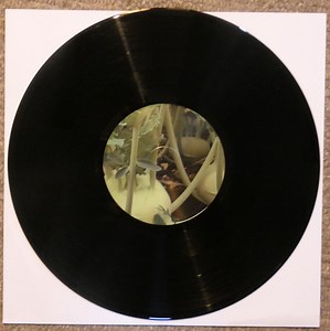 TerminatorX - Paradigma