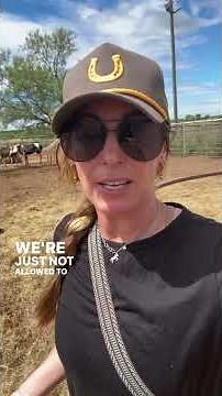 💔 Used for Babies… Then Discarded Like They Never Mattered | 80 Mares Facing an Uncertain Future 🐴