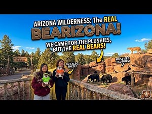 Bearizona Wildlife Park | Perfect Family Stop Near the Grand Canyon
