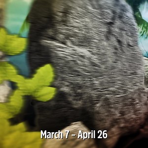 Don’t miss 🦖DinoFest🦖, March 7 – April 26! 🎟️ Get $24.99 Attractions Ticket — over 37% in savings With a special Dinosaur Drone & Light Show, high-flying dinosaurs, a glowing nighttime parade and unforgettable Dino Meet & Greets, this limited-time experience is packed with family fun. Plus, your ticket includes favorites like the Skyride, Scenic Railroad and Mini-Golf. Make it a family getaway with an overnight stay at Atlanta Evergreen Lakeside Resort, just minutes from DinoFest. | Stone Mou