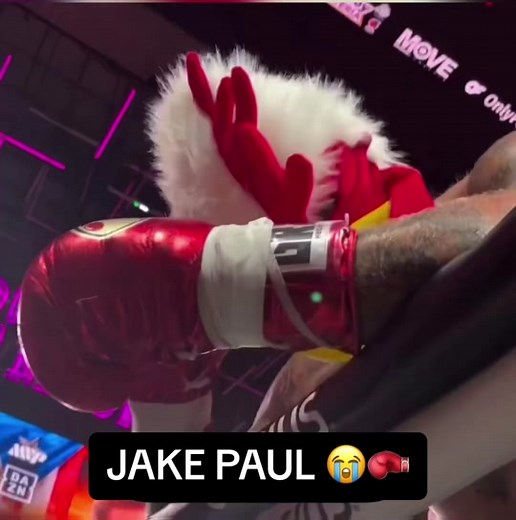 Jake Paul pulled up to his open workout in a rooster mask 😭 @Jake Paul (via @DAZN, h/t @Happy Punch) #jakepaul #jakepaulboxing #boxing