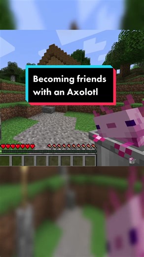 Befriending an Adorable Axolotl in a Minecraft Adventure
