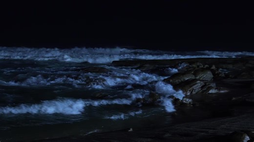 Collecting Shells at Night by the Ocean