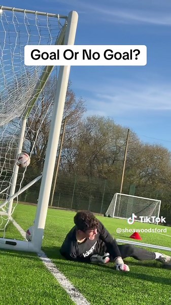 sheawoodsford on TikTok