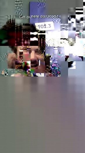 Watch out Nemo! 🐠 | 102.3 Now! Radio