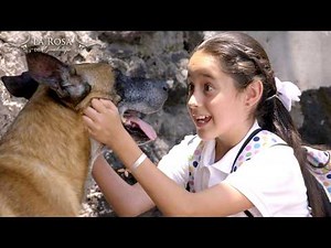 The Rose of Guadalupe | MY EYES OF LIGHT [Part 1] | Chapter 2026 Full HD