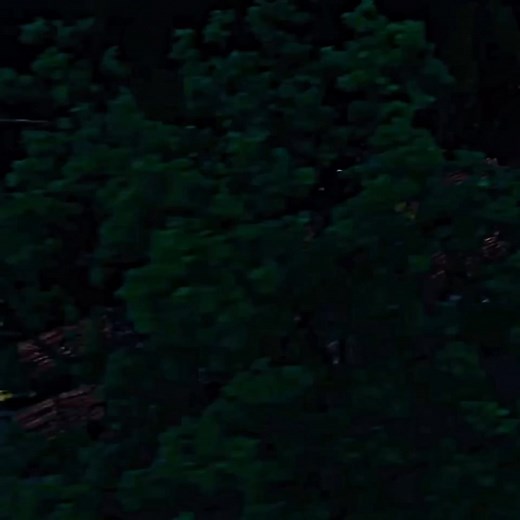 Pushpa 2 movie download link https://www.filmyfly.durban/page-download/4977/Pushpa-2-The-Rule-2024-South-Hindi-Dubbed-Movie-HQCam.html #southmovie2022 #Newsouthindianmoviesdubbedinhindi2023full #New_south_indian_movies_dubbed_in_hindi_2022_full #New_south_indian_movies_dubbed_in_hindi_2021_full #reelsviral #Newsouthindianmoviesdubbedinhindi2021full #stram_ #southhindidubbedfullmovie #southhindidubbedmovi #newsouthmovie #puspa2 #Pushpa2TheRule | Hakimuddin Khan