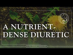 Dandelion leaf (Taraxacum officinale)