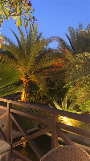 Enjoying Nature: Moments with Friends