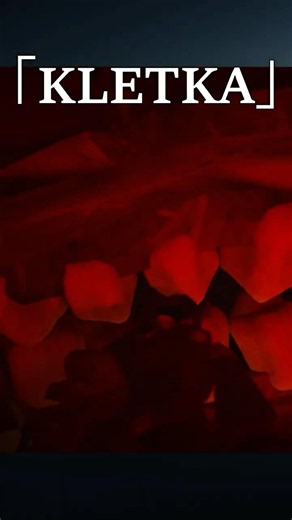 [Horror Game Review] KLETKA