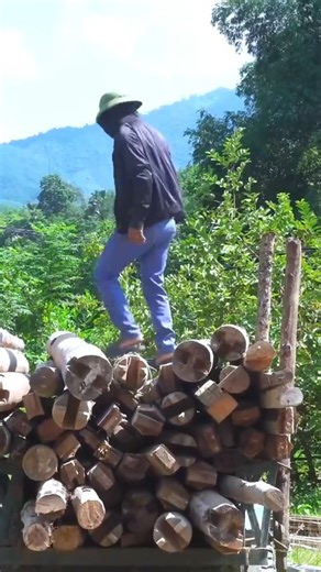 19K views · 302 reactions | I Spent 45 Days Building a Log Cabin Use Old Wood of 30 Year Old House, Start to Finish (4) | Nhân Sinh Như Mộng | Facebook