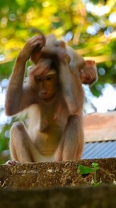 3.9K views · 315 reactions | First Libby copy Rose's style doing like that on baby! how Libby learn from Rose! | Good Or Bad | Facebook