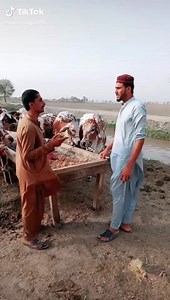 #MANDI_2020  #LOCKDOWN_EFFECTS  | Balochgoatfarm | Facebook