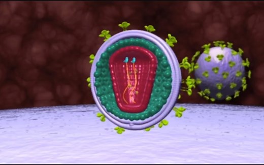 HIV病毒入侵人体细胞的过程动画（中英双语字幕）
