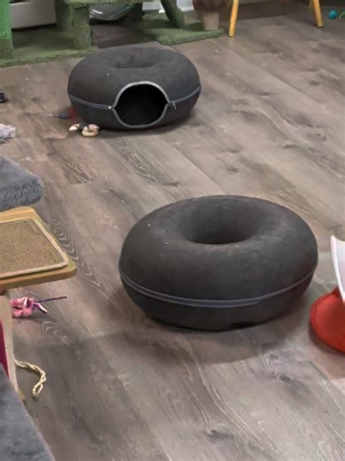 Is it magic? Yes... Black Cat magic 💕 #catdonut #sillykitty #blackcatsrule #meowlounge