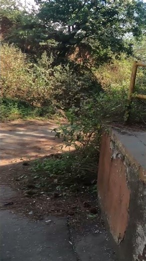 ELES NÃO ESPERAVAM POR ISSO #airsoft #airsoftcqb