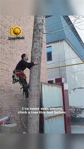 Master Climber Ascends with Unbelievable Skill!
