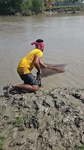 Cast net fishing big fish catch #reels #viral #fish #foryou #castnet #fishinglife | Village Fishing