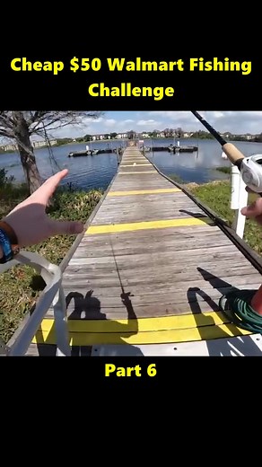 Kendall Gray Vlogs on TikTok