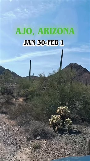 UTV Offroad Adventures SXS tours on Instagram: "Join us for the cactus crawl! #"