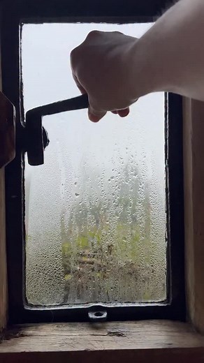 18K views · 9.9K reactions | Wintering #window #sunday #november #season #view | Thecottageonthehill | Facebook