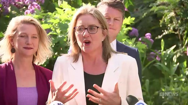 Who is Jacinta Allan, Victoria's new premier and Daniel Andrews's successor?