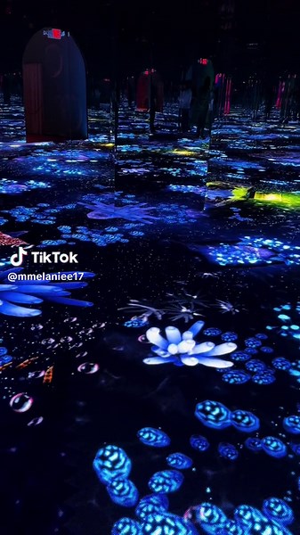 Bubble World #bubbleworldexperience #bubbleworldexperience #bubbleworld #fyp #magical #fypシ゚viral #views #hiddengem #tiktokcompetition