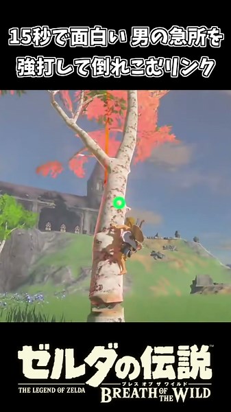 15秒で面白い 男の急所を強打するリンクｗｗ【ゼルダの伝説 ブレス オブ ザ ワイルド】