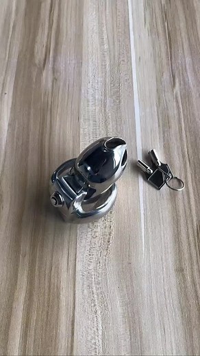 Stainless Steel Chastity Lock and Cage Collection