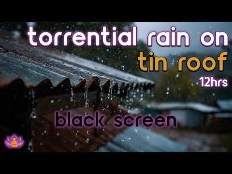 [Black Screen] Heavy Downpour | Torrential Rain on Tin Roof – No Thunder | Sleep Rain Sounds