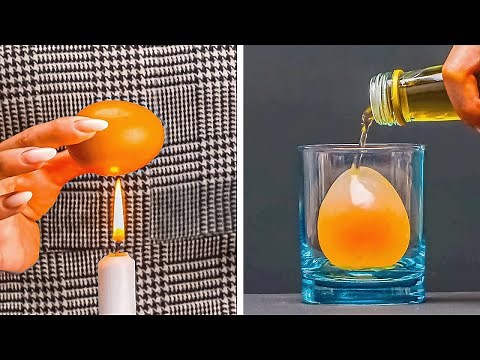 Zum Staunen! 10 fesselnde Experimente mit Eiern, die für Unterhaltung sorgen