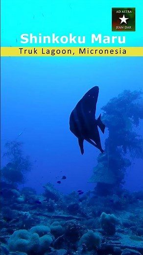 Diving Truk Lagoon: Micronesia’s Incredible World War II Wrecks | Shinkoku Maru
