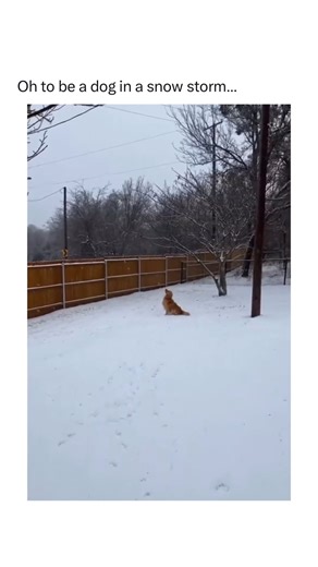 19K views · 635 reactions | There is something extra magical about this. Video via: @nayhombre | J.R. Martinez | Facebook